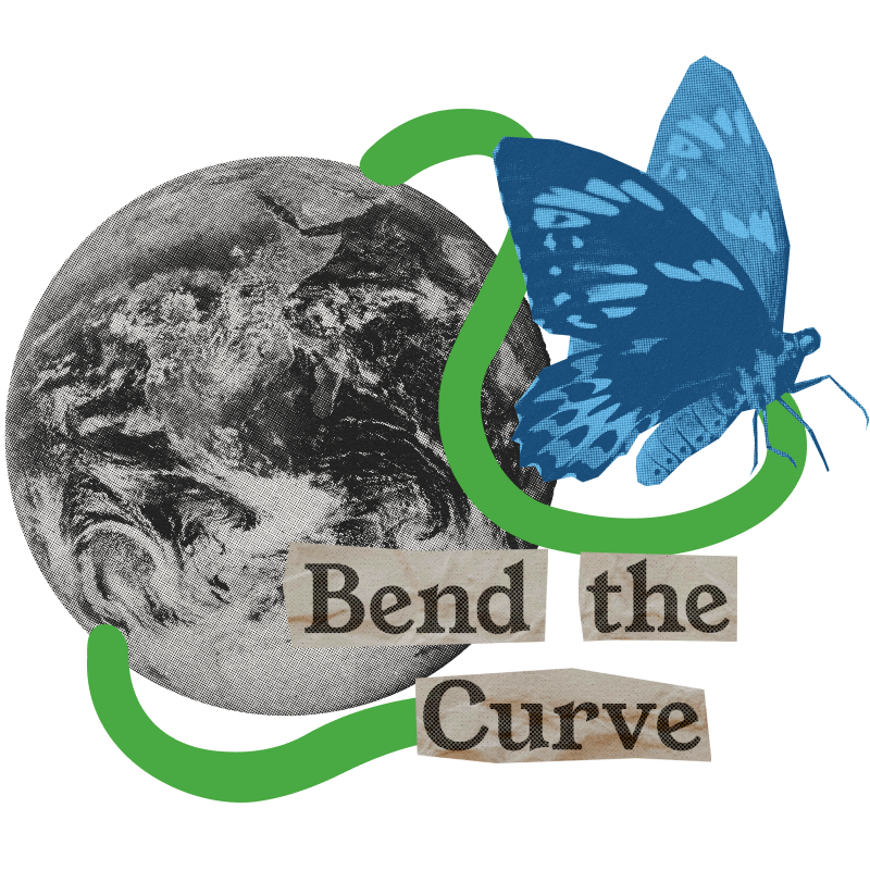 Bend the curve icon