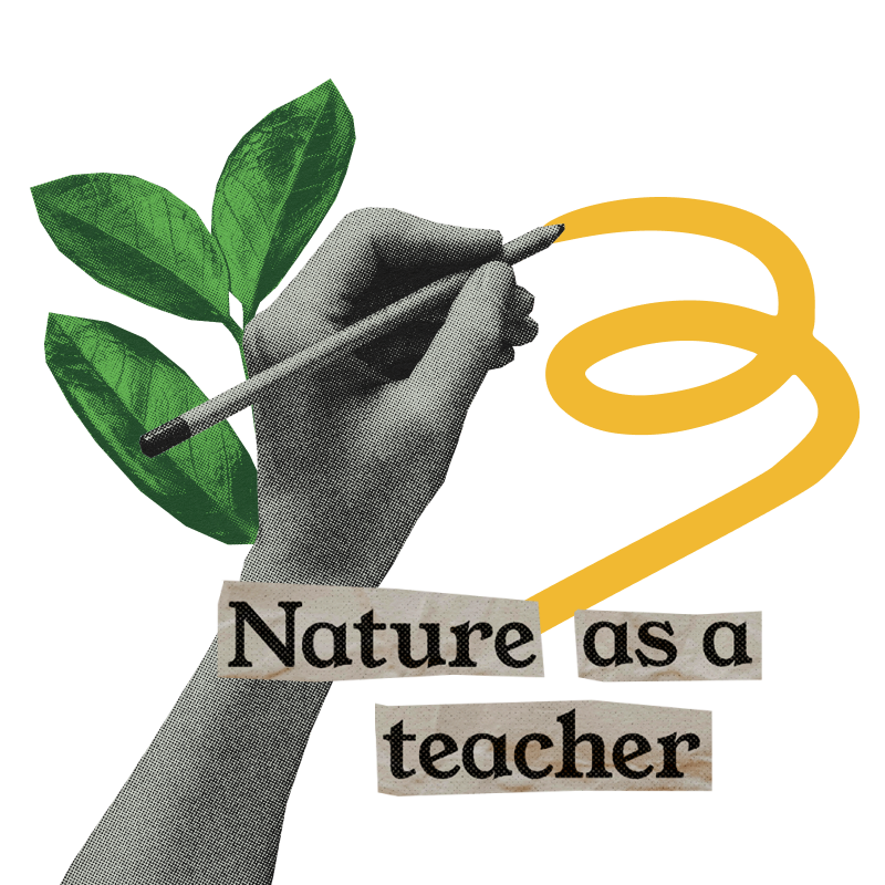 Nature as a teacher icon