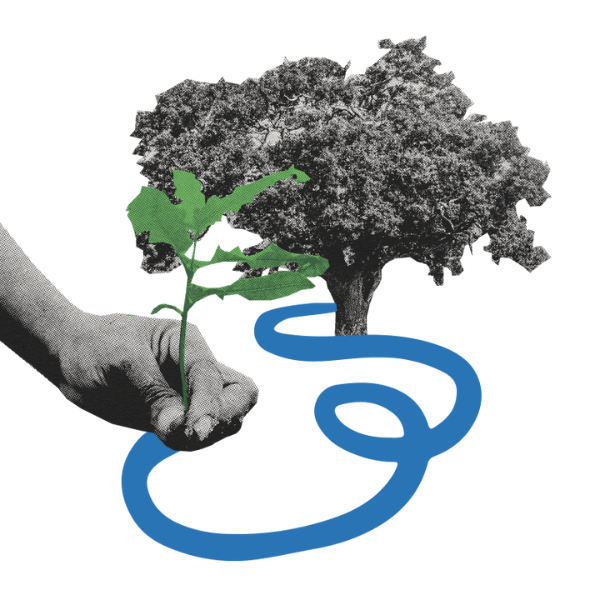 embrace courage over comfort icon